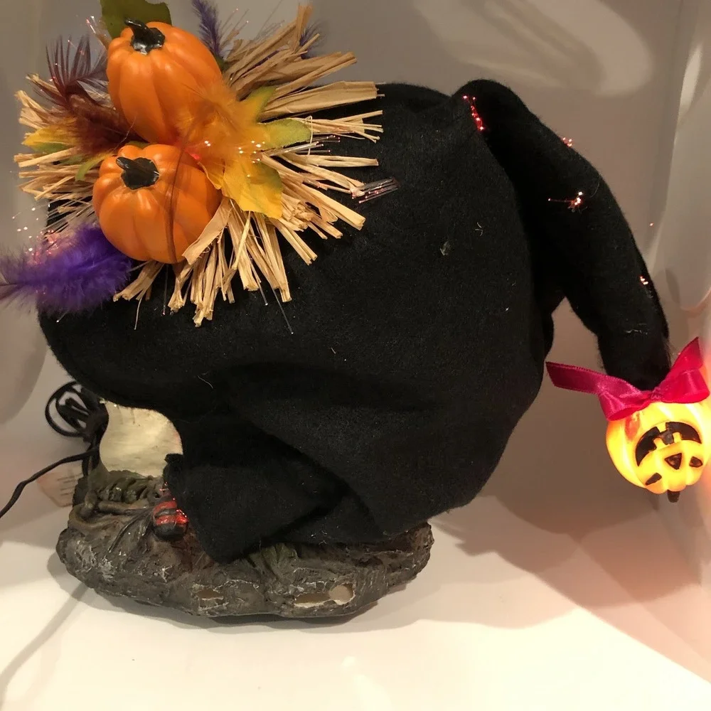 Fiber Optic Halloween Skull With Black Hood Creative Designs